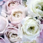 Le déroulé d’une journée de mariage, heure par heure