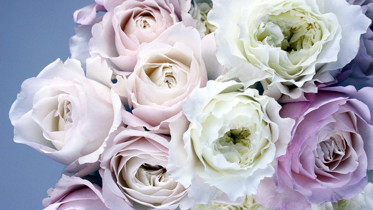 Le déroulé d’une journée de mariage, heure par heure